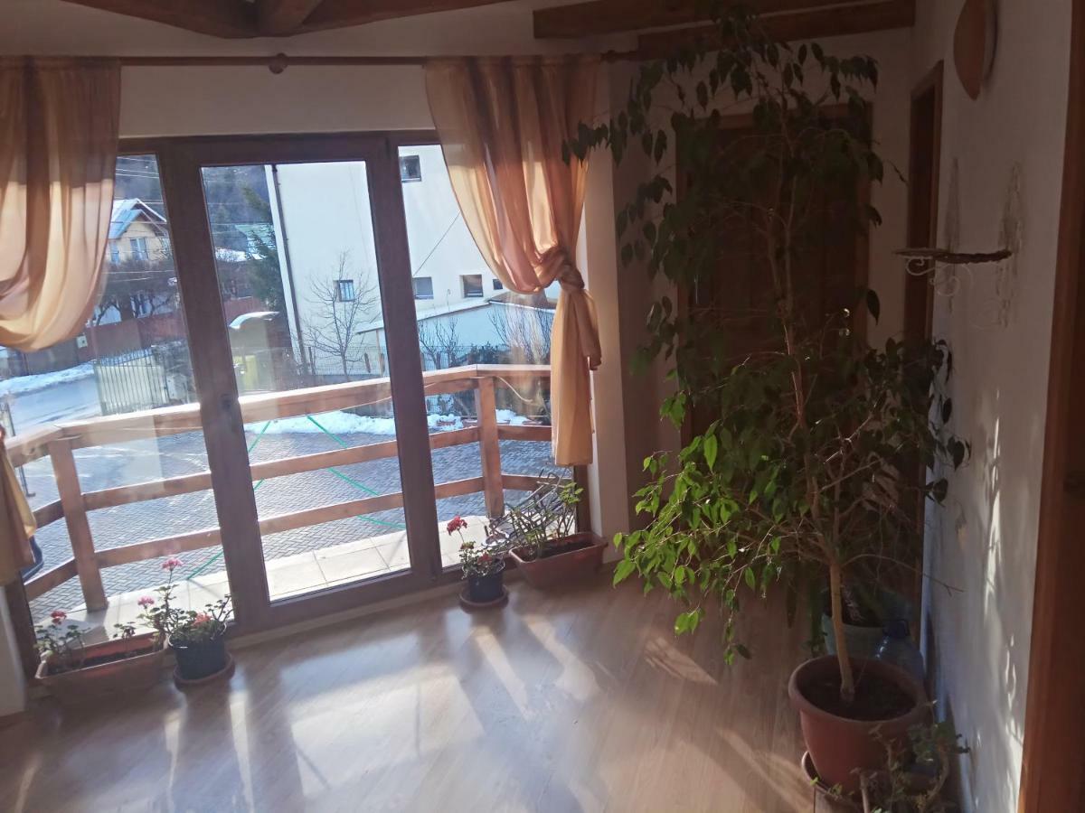 ホテル Casa Alexandru アズガ エクステリア 写真