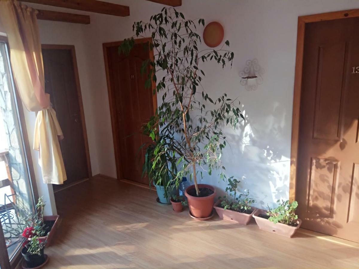 ホテル Casa Alexandru アズガ エクステリア 写真